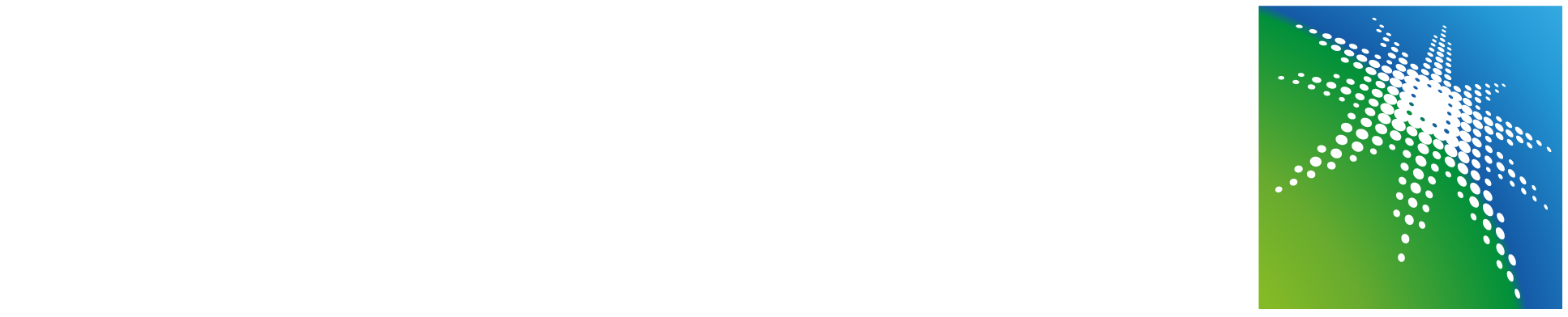 Aramco Approved Vendor