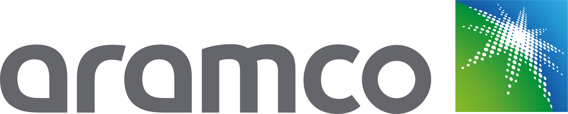 Aramco Approved Vendor