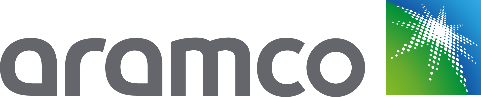 Aramco Approved Vendor